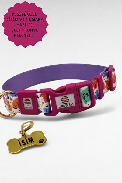 CARAMELOS KÖPEK TASMA SETİ KİŞİYE ÖZEL İSİMLİ TASMA, H TİPİ TASMA ,GÖVDE BOYUN GEZDİRME TASMASI, KÖPEK KÜNYE