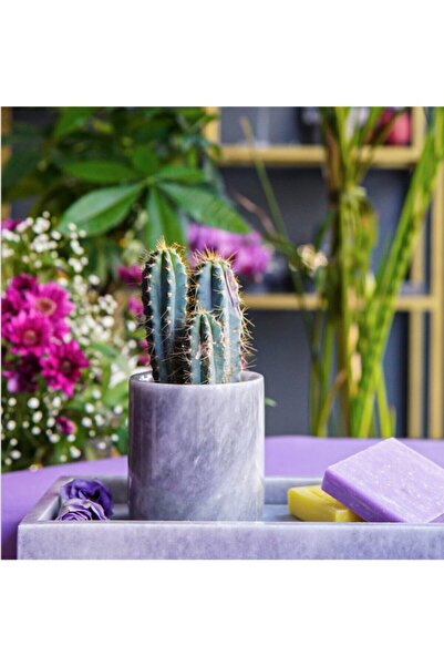 mar&more Θήκη οδοντόβουρτσας Rolin Marble