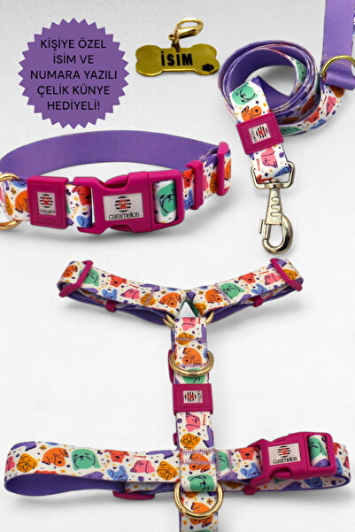 CARAMELOS KÖPEK TASMA SETİ KİŞİYE ÖZEL İSİMLİ TASMA, H TİPİ TASMA ,GÖVDE BOYUN GEZDİRME TASMASI, KÖPEK KÜNYE