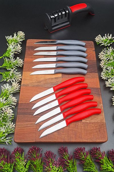 SWENCRAFT Set of 13 Stainless Steel Kitchen Fruit Knife and Sharpening Tool (16 cm)