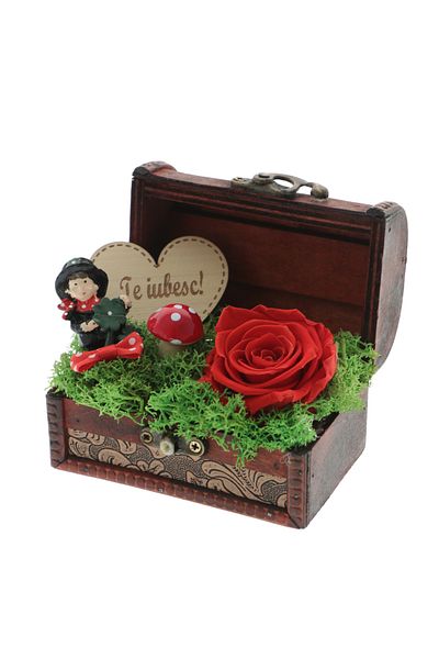 GiftExpress Red cryogenic rose in a box with a basket I love you