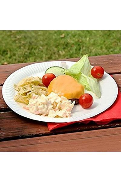 Falcon Plastic Plate