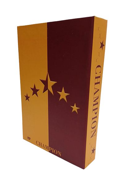 BSEYSTORE 2025 Red Sari Decorative Box