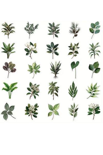 Mona Craftist 50Pcs Transparent Leaf Sticker Set for Bullet Journal Scrapbook Transparent Sticker for Laptop Agenda Planner