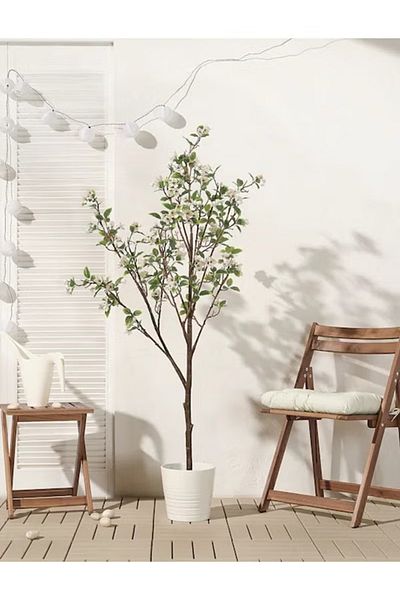 rexa Artificial Potted Plant, In/outdoor Apple Tree, 19 Cm