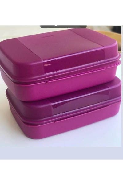 Tupperware Kurabiye Kutusu 2 Adet 2 LT.