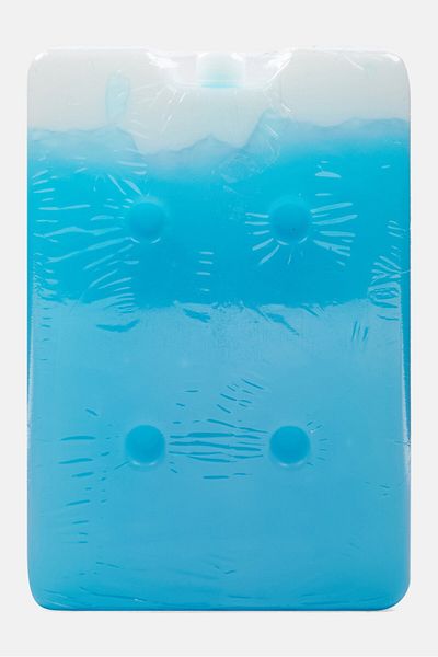 IRIS 2 Piece Ice Brick 650 Ml, Blue