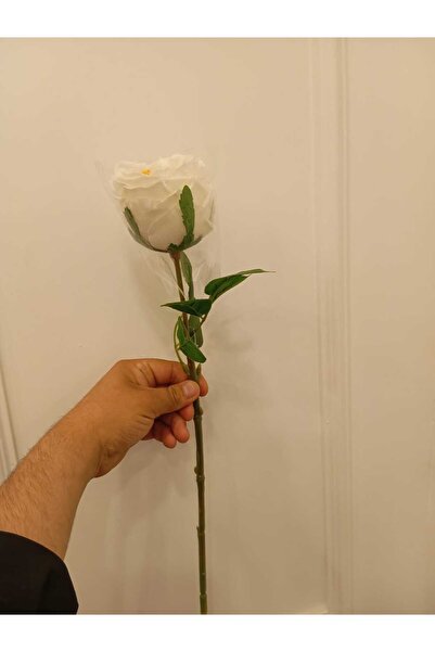 Çiçek Islak Gerçek Dolulu Şakayık 1.kalite &mimara World %40 Santim