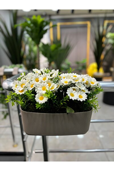 DDTREND Yapay Çiçek Ve Bitki  Balkon Saksıda Papatya Aranjman Dekoratif Teras...