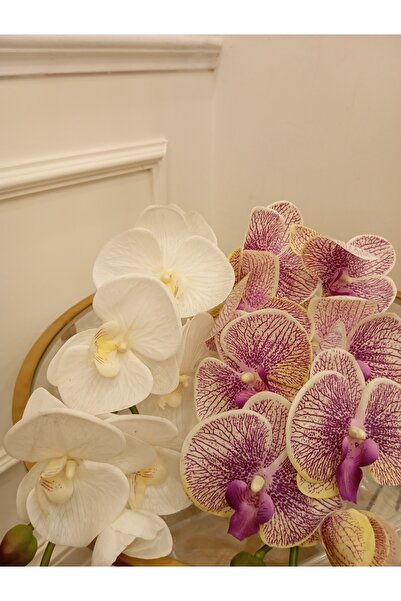 Orkide Islak Gerçek Beyaz Ve Çok Renkli 2 Adet Dokulu 90 Santim Mimara World Da