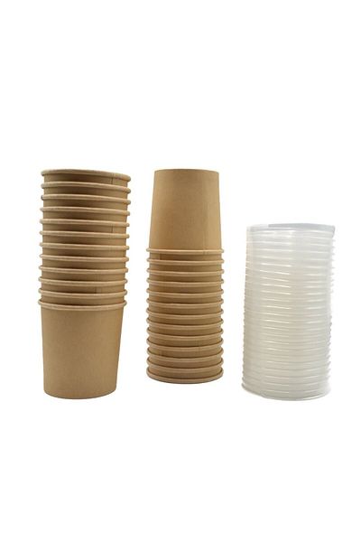 Generic Disposable paper containers with lids