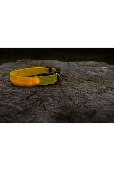 zola Dog collar, with LED light, 3 lighting modes, L, adjustable 39-52cm, yellow