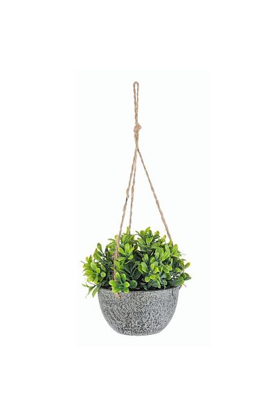 Bizzotto Succulent flower in hanging pot Ã˜10.5x13h