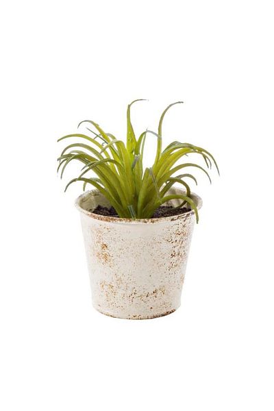 Bizzotto Artificial green succulent plant in patinated white metal pot 10 cm x 10 cm x 11 h