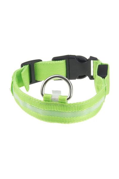zola Dog collar, with LED light, 3 lighting modes, M, adjustable circumference 36-46cm, green
