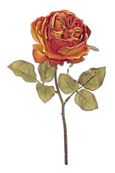 Bizzotto Artificial orange English rose 30 h