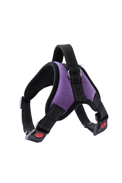 zola Adjustable harness for dogs, adjustable, leash hook, buckle fastening, purple, size S