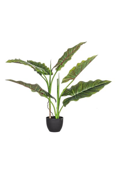 Bizzotto Artificial green calla lily 7 leaves in pot 78 h