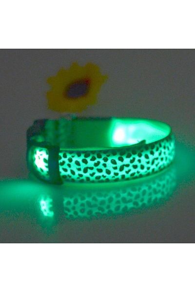 zola Zgarda pentru catei/pisici, cu LED, marimea M, alba/verde
