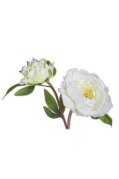 Bizzotto Floare Artificiala Peonia Alba 43 Cm
