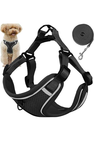 zola Dog harness and leash, size M, reflective elements, adjustable straps, leash 150 cm, black