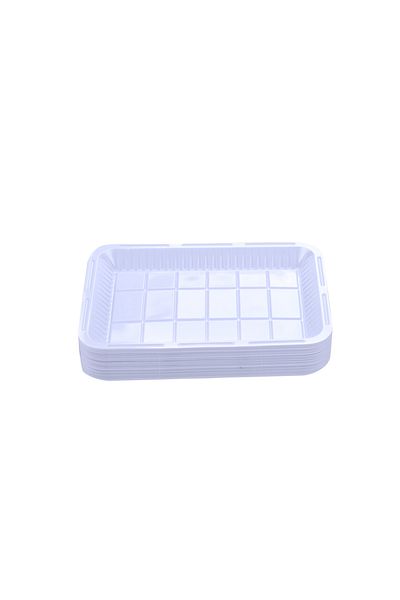 Other disposable plastic plates