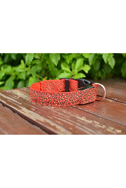 zola Κολάρο σκύλου/γάτας, με LED, μέγεθος S, κόκκινο