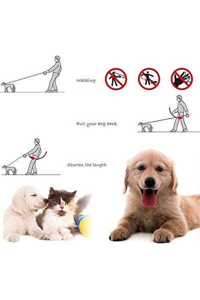 zola Μηχανικό λουρί σκύλου, μήκος 5 m, μέγιστο βάρος στήριξης 15 kg, πράσινο