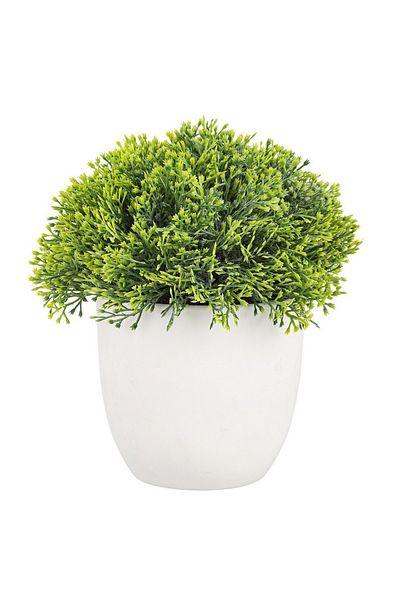 Bizzotto Artificial Green Coryn Plant 14x16 Cm