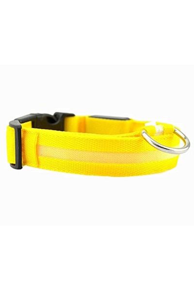 zola Dog collar, with LED light, 3 lighting modes, M, adjustable 36-46cm, yellow