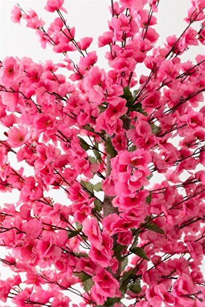 florayapaycicekcom pembe bahar dalı kiraz çiçegi sakura 81 dal dogal gövdeli siyah plastık saksı