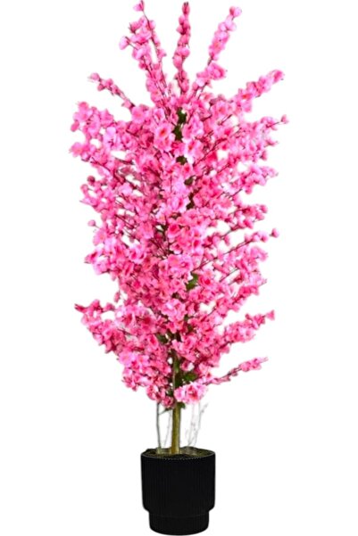 florayapaycicekcom pembe bahar dalı kiraz çiçegi sakura 81 dal dogal gövdeli vega saksı