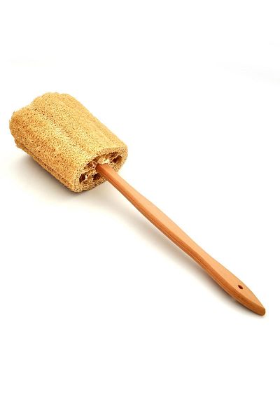 xdeonss Natural Pumpkin Fiber Back Brush with Wooden Handle 8x40 cm