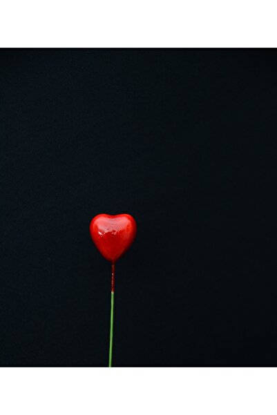 Heart stick Terrarium Flower Pot Accessory, Hobby Styrofoam heart wire 1.5 X 7.5 CM 10 pcs