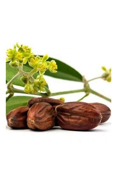 Generic Jojoba Seeds 250 Grams