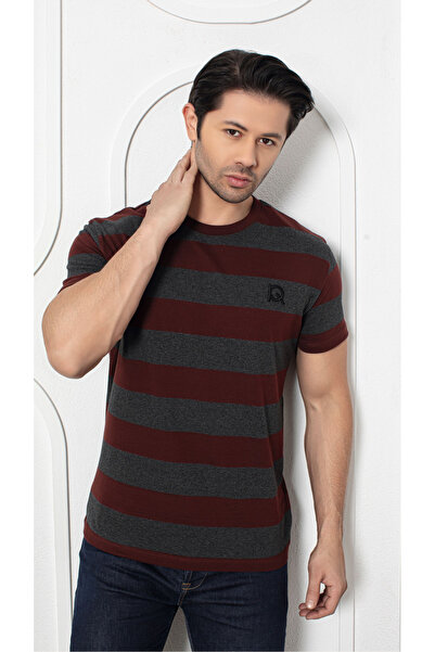 Ramior 2-Piece Men's Special Design Striped T-Shirt with Embroidery Detail
