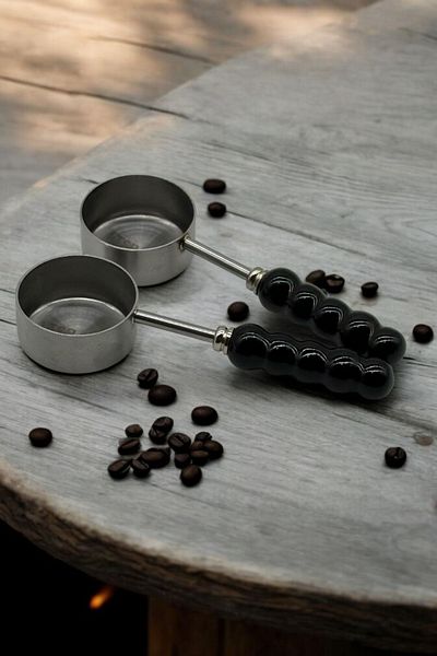 Qerhome 2 Pcs Porcelain Pearlescent Black Handle Measuring Spoon Silver 5ml