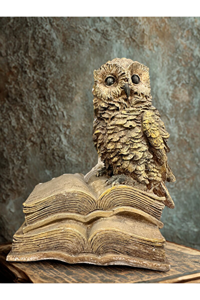 İki Cadı Tasarım Kitaplı Baykuş Kitap Tutucu Polyester Obje