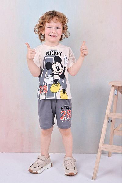 LİLLYPİCCA Gray Crew Neck Printed Boys' T-Shirt and Shorts Pack of 2