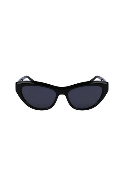 Ferragamo SF1103S551700, Sunglasses, women's