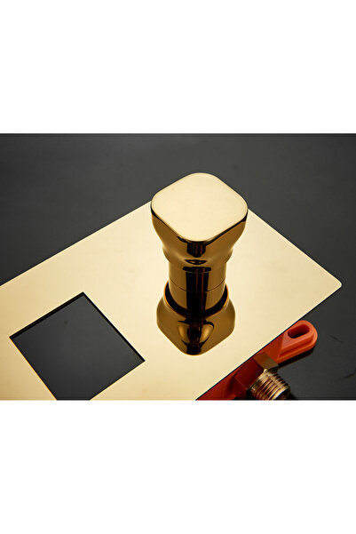 Blackswan Design Set baterie dus, Blackswan, Tip M60.9, model auriu lucios, dimensiune 20 cm