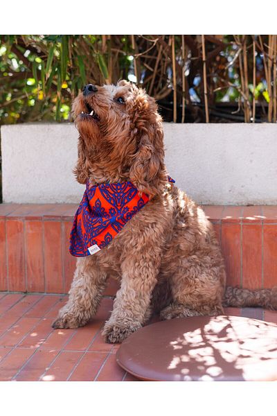Lorico Dog Snap Fastener Patterned Scarf/Bandana