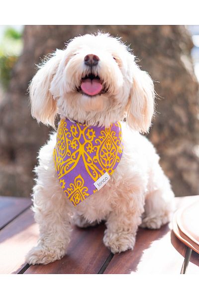Lorico Dog Snap Fastener Patterned Scarf/Bandana