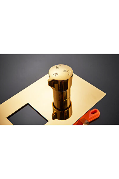 Blackswan Design Set baterie dus, Blackswan, Tip M60.9, model auriu lucios, dimensiune 20 cm