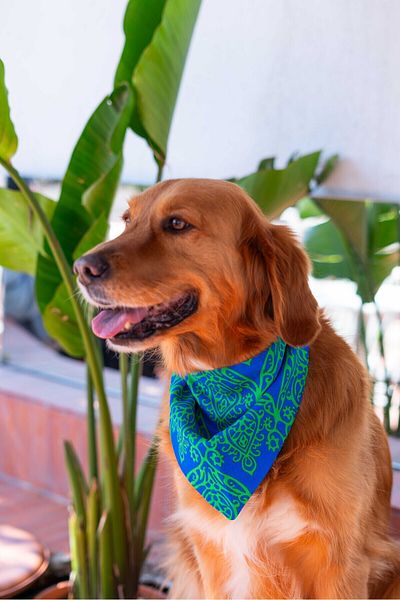 Lorico Dog Snap Fastener Patterned Scarf/Bandana