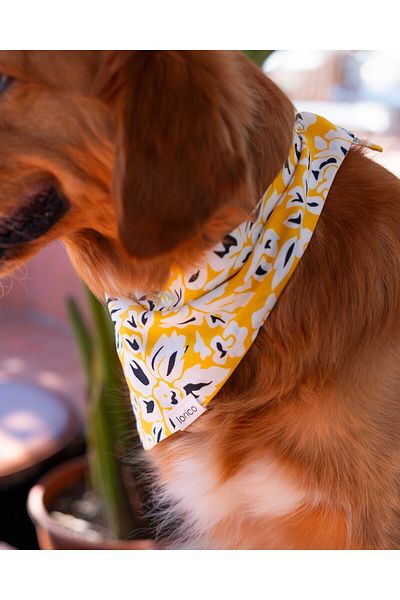 Lorico Dog Snap Fastener Patterned Scarf/Bandana