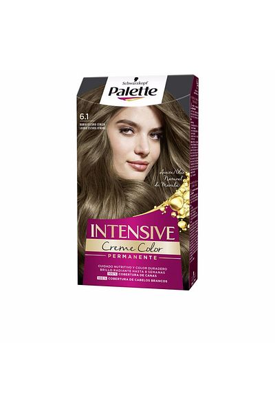 Palette Intensive Farbstoff #6.1-dunkles Aschblond 1 Stk