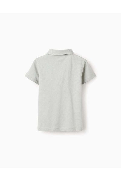 Ziddy Striped T-shirt with V-neck for Boys, Green/White