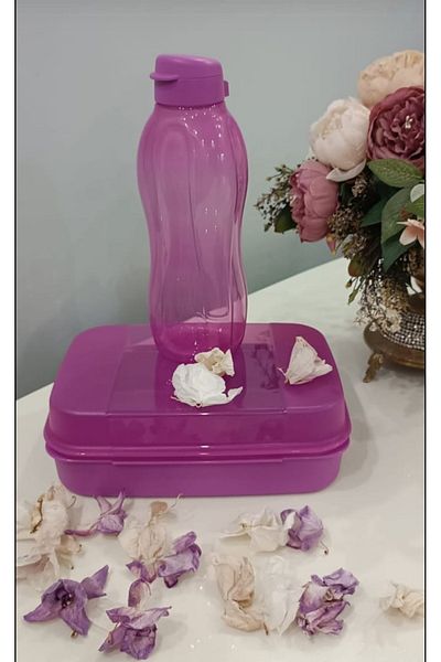 Tupperware Drinker 1.5 Lt and Cookie Box.