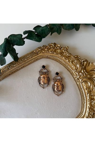 Home Brand Insect Earrings